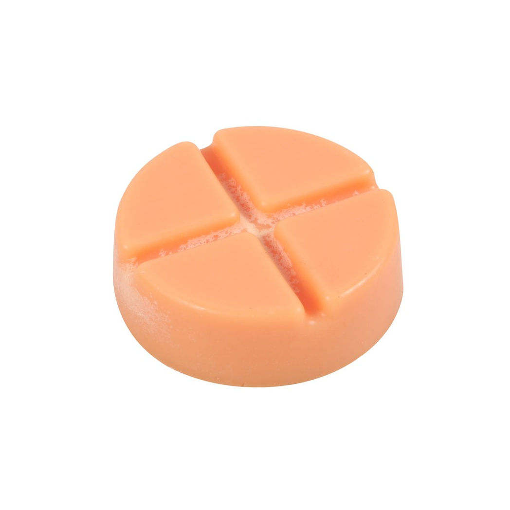 Spiced Pumpkin Soy Wax Snap Disc