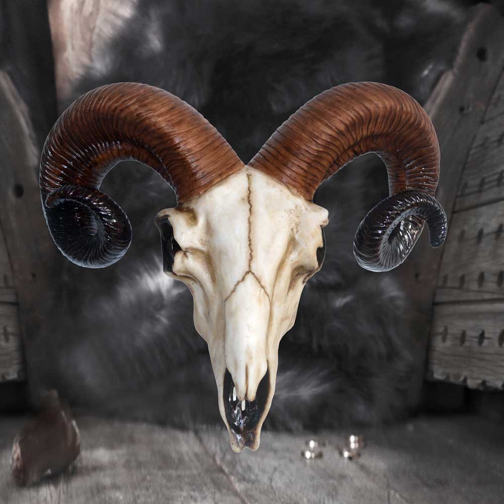 Realistic Wall Mounted Rams Skull