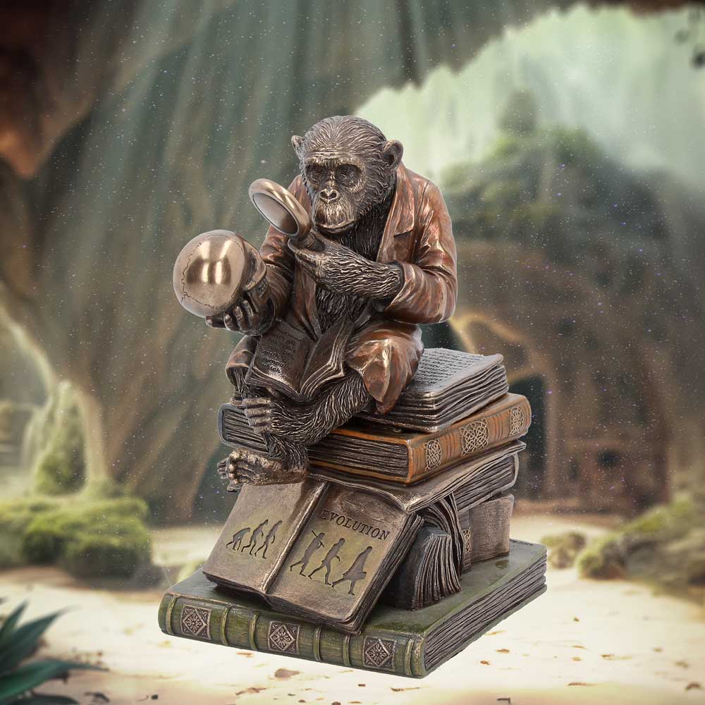 Darwinism of Evolutionary Theory Figurine Charles Darwin Chimpanzee Ornament