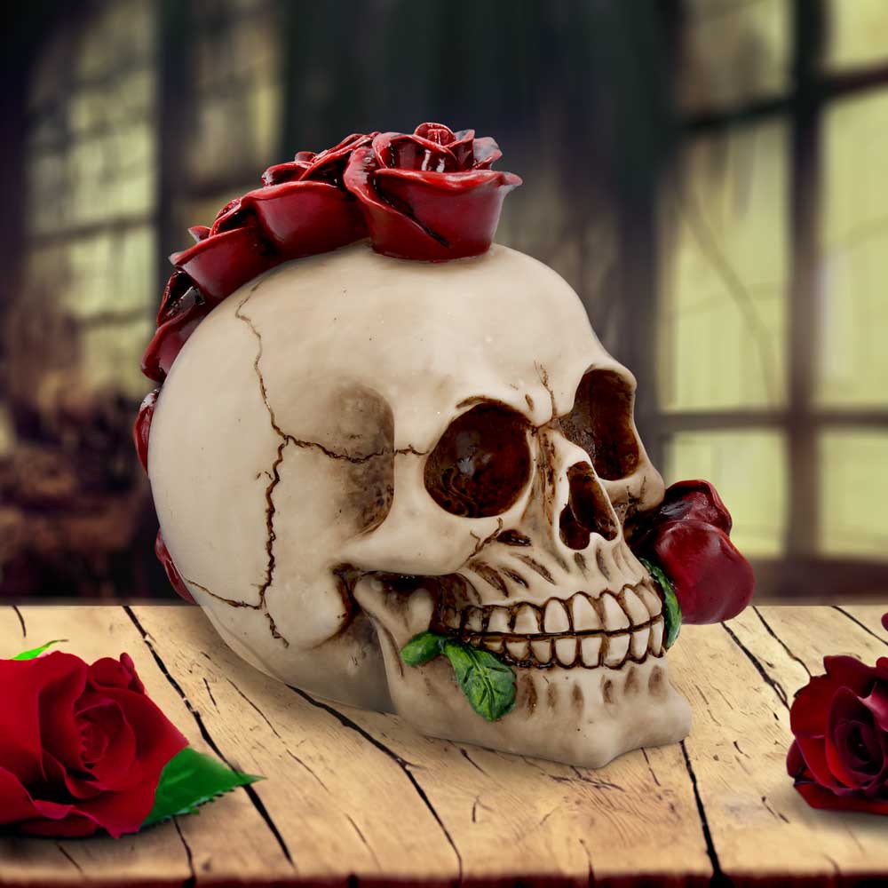Rosehawk Skull 16cm