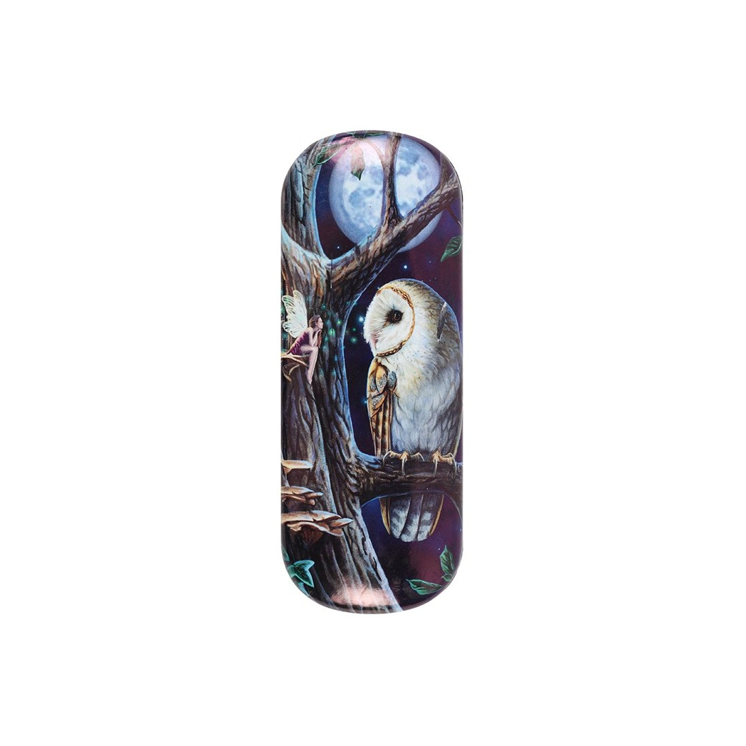Fairy Tales Glasses Case by Lisa Parker