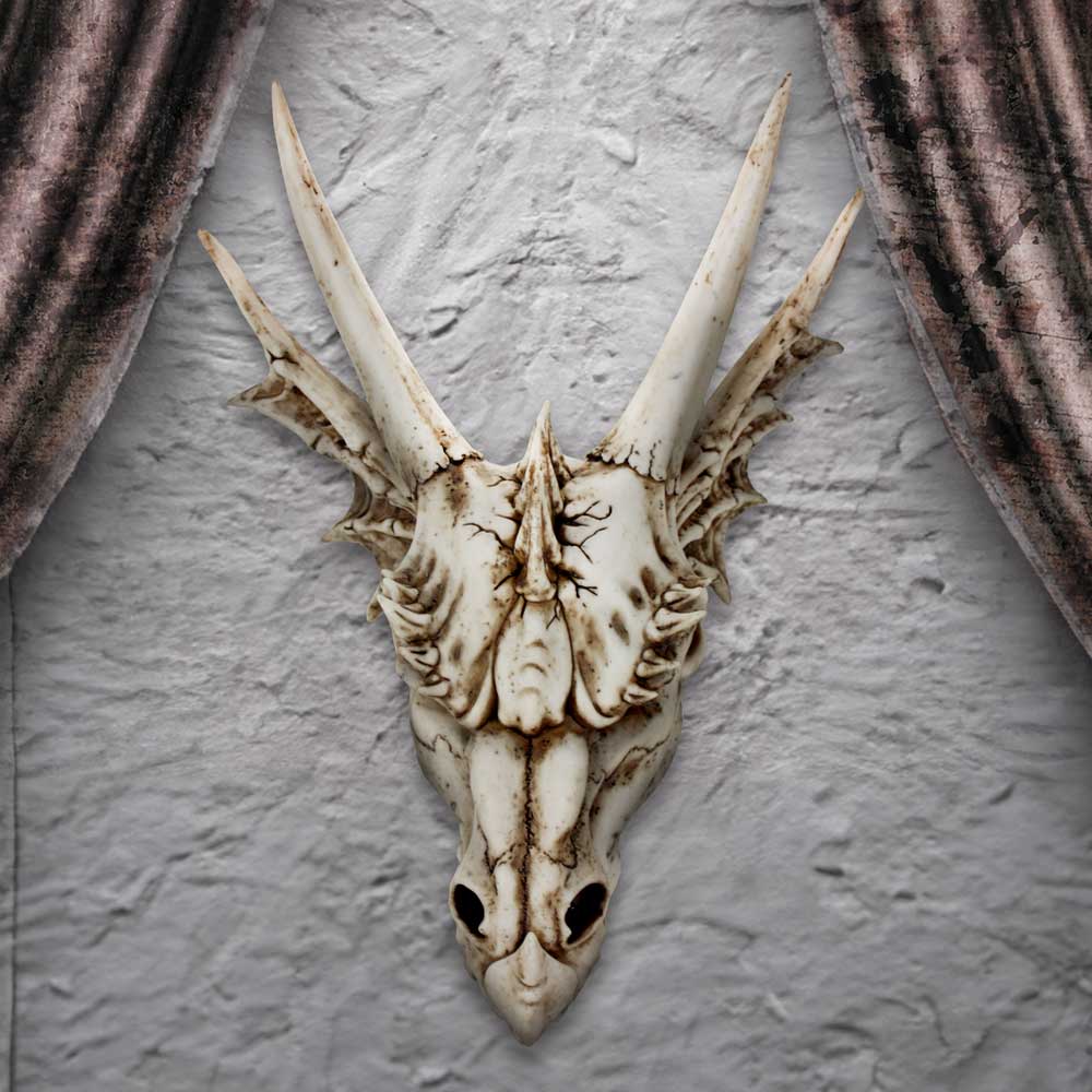 The Last Dragon Skull Realistic Reptile Skeleton Head